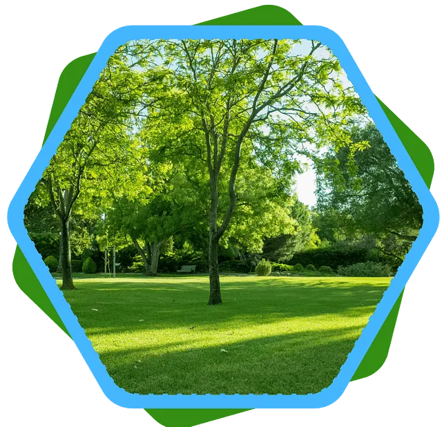 jardin entretenu